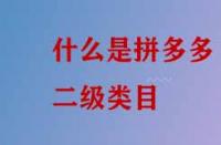 什么是拼多多二級類目？