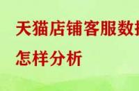 天貓店鋪客服數據怎樣分析？