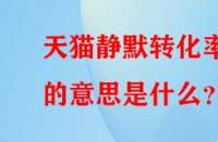 天貓靜默轉化率的意思是什么？