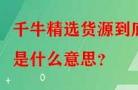 千牛精選貨源到底是什么意思？